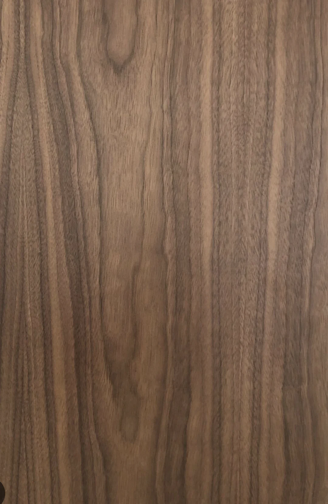 Walnut veneer swatch