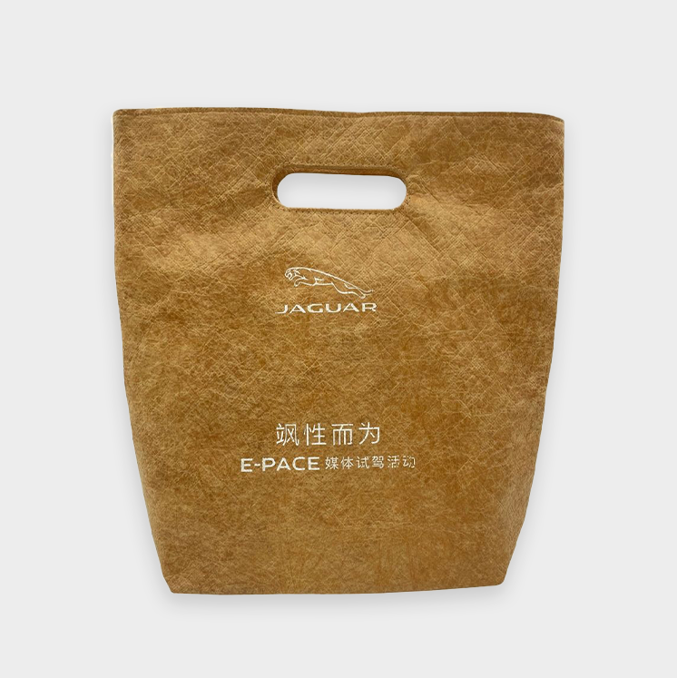 Tyvek Handbag 1